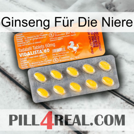 Ginseng Für Die Niere new05